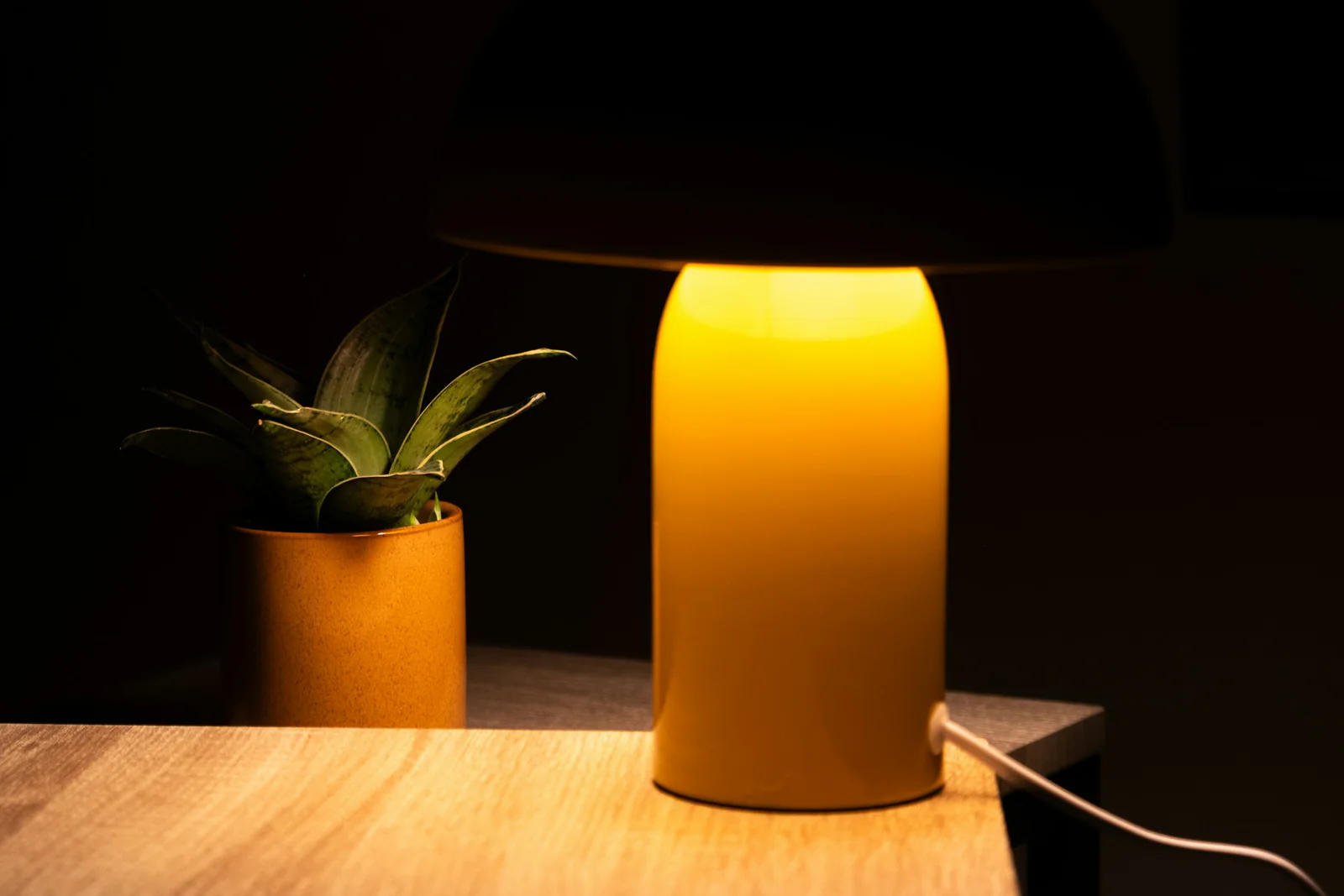 Warm licht van een tafellamp naast een plant op een houten tafel